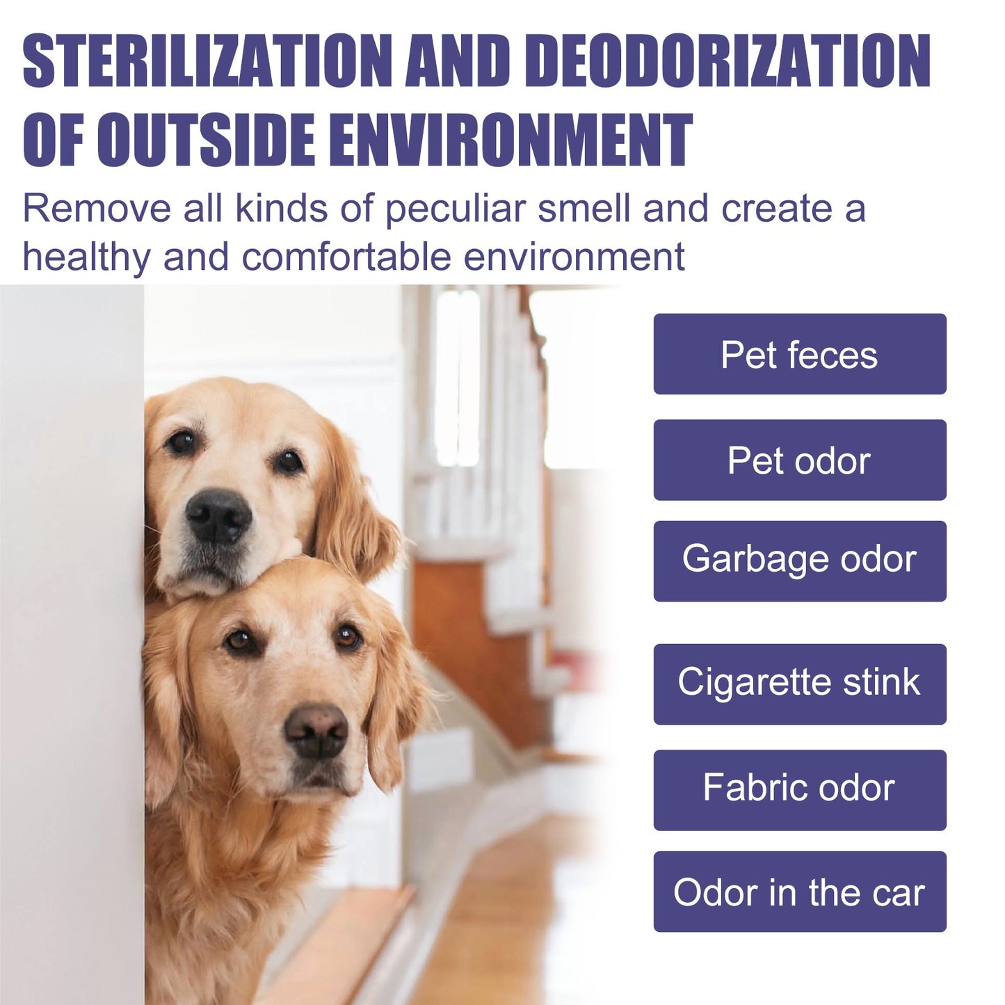 Pet Deodorizer Spray for Cats & Dogs – Eliminates Urine, Feces, and Body Odors, Air Freshener Mist