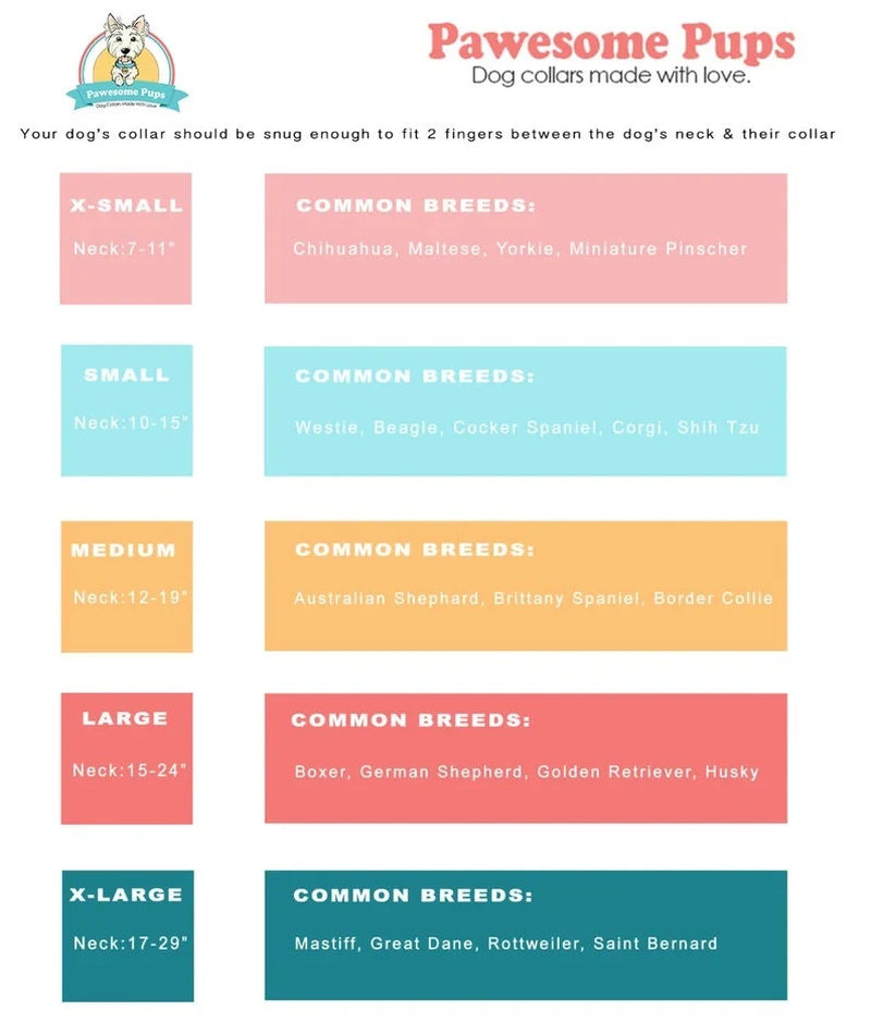 Halloween Dog Collar, Skeleton Dog Collar, Skull Dog Collar, Halloween Skeleton Dog Collar, Collar for Halloween, Halloween Collar