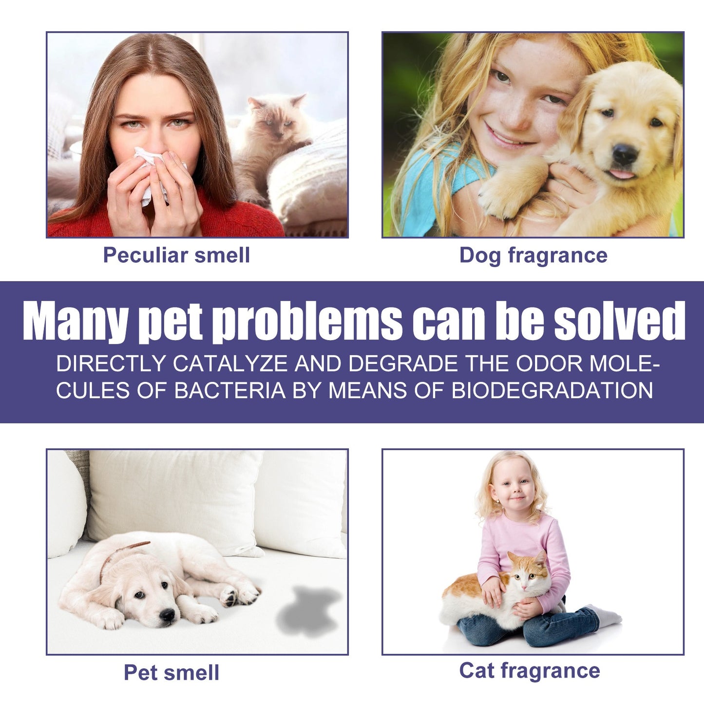 Pet Deodorizer Spray for Cats & Dogs – Eliminates Urine, Feces, and Body Odors, Air Freshener Mist