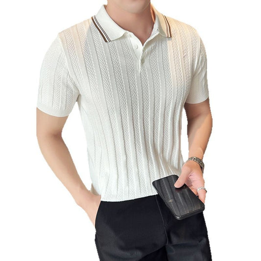 Light mature style handsome casual slim fit polo shirt T-shirt